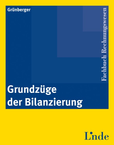 Grundzüge der Bilanzierung