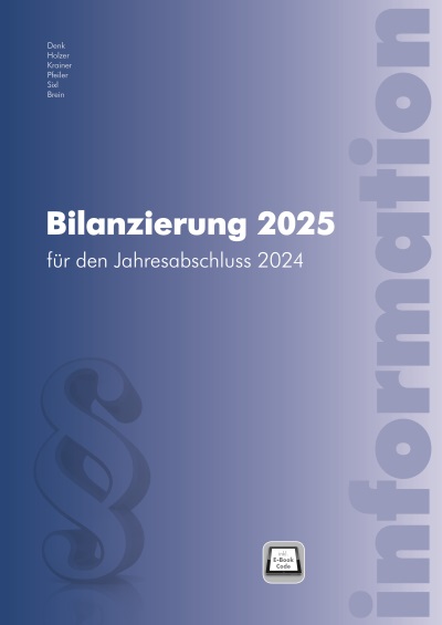 Bilanzierung 2025