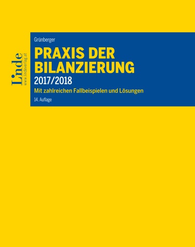 Praxis der Bilanzierung 2017/2018